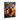 CODEX: Space Marines
